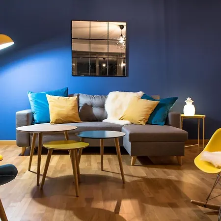 Apartment In Front Of Cathederal ! Reims